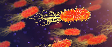 bacteries