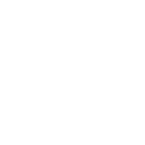 logo idr diffusion blanc png