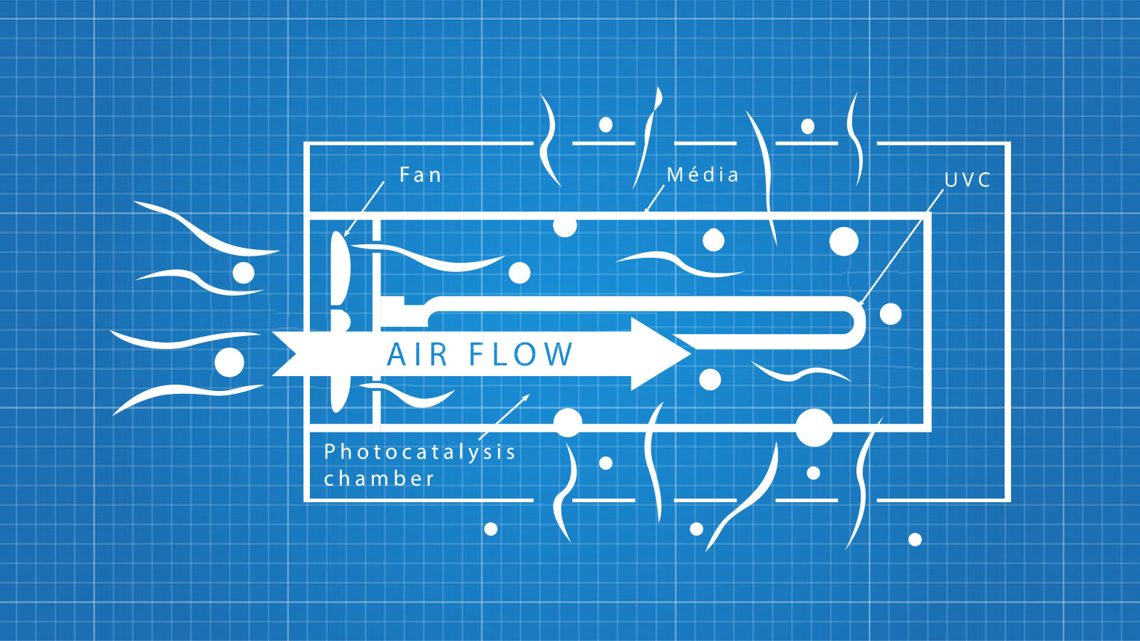 Schema purification oxymore plan