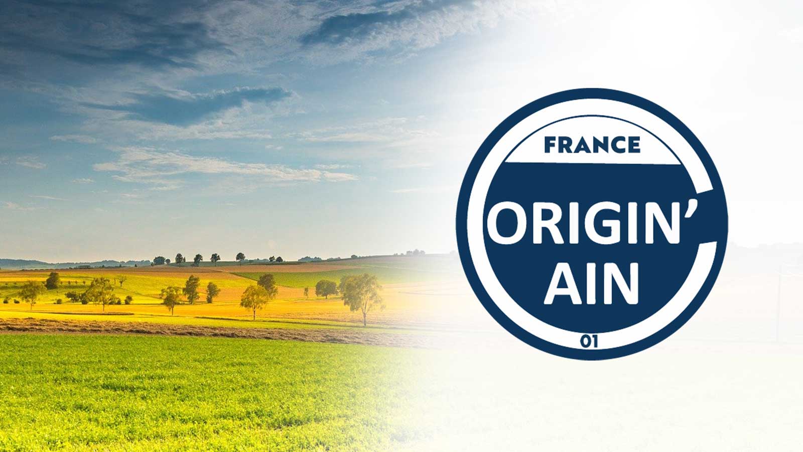 logo origin ain avec une photos des plaines de l'ain