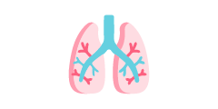 icon - santé - poumons - qai