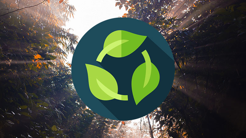 logo biodegradable, 3 feuille formant le triangle du recyclage sur fond bleu canard sombre, poser au millieu d'une foret lumineuse