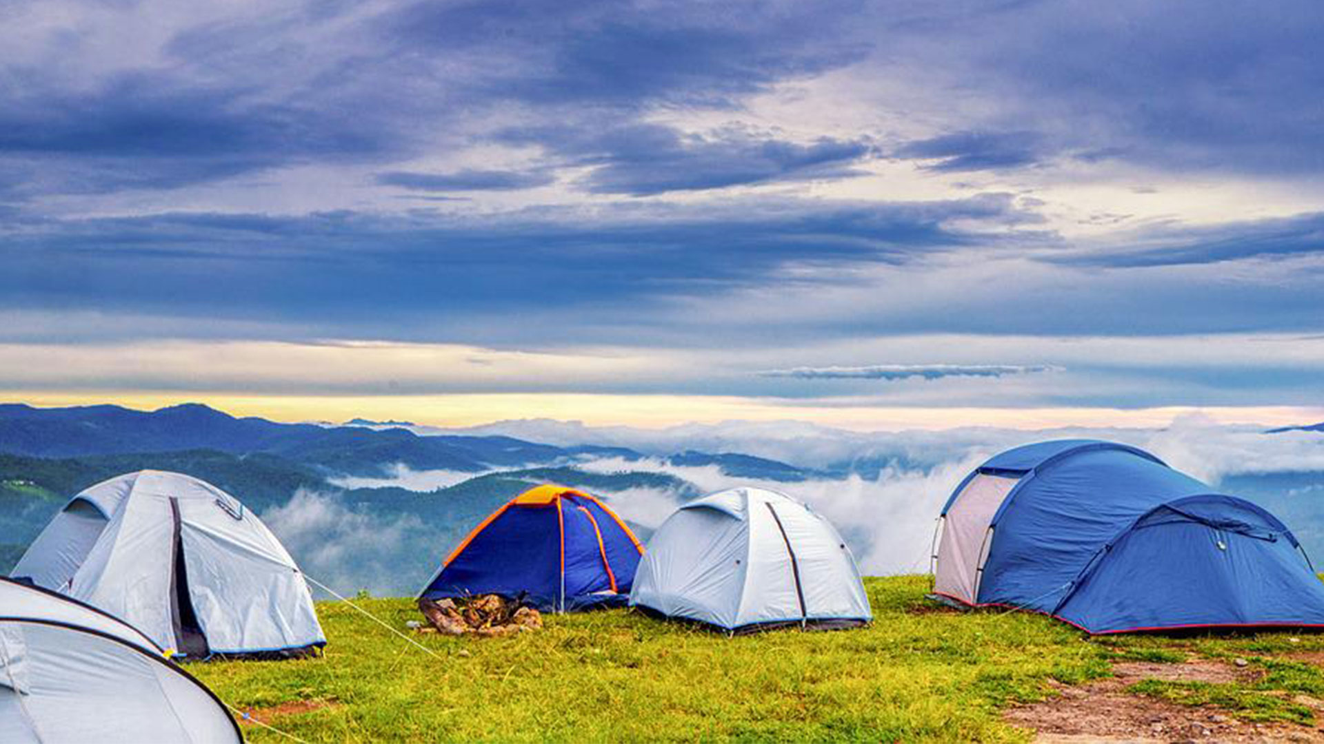 Cette photo montre plusieurs tentes réunis dans un beau cadre. 