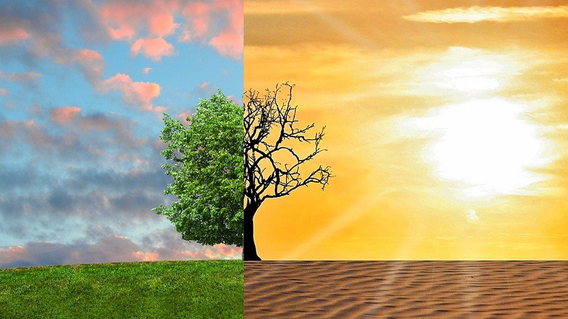 Une image montrant l'impact du réchauffement climatique 