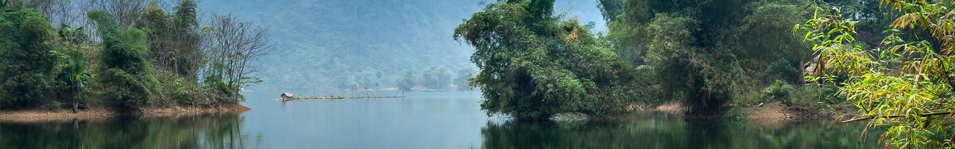 Image montrant l'extérieur avec des arbres et de l'eau