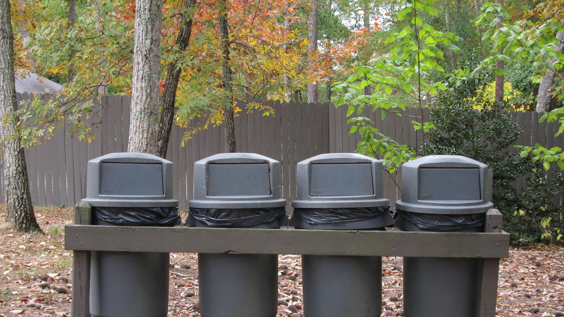 4 poubelles alignées les uns à côté des autres dans un parc.