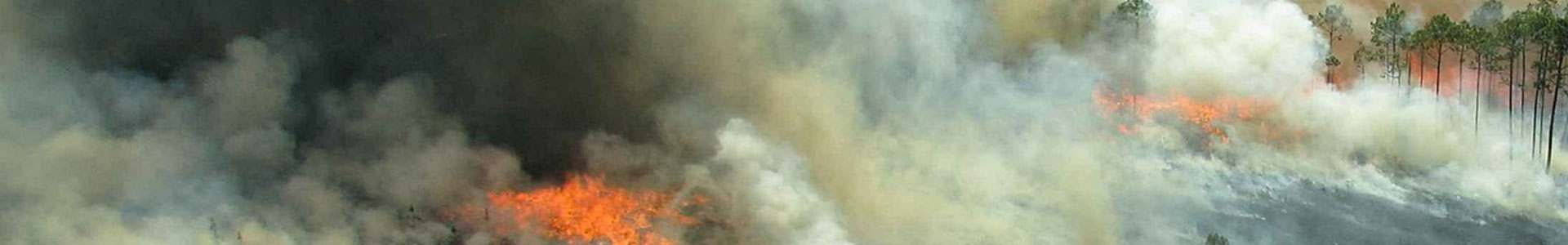 fumée d'incendie