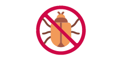 Elimination des insectes ravageurs
