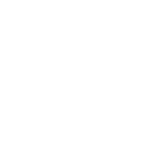 Ventury 2020