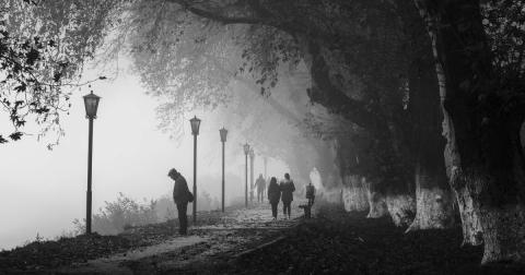 Personnes se balladant dans le brouillard