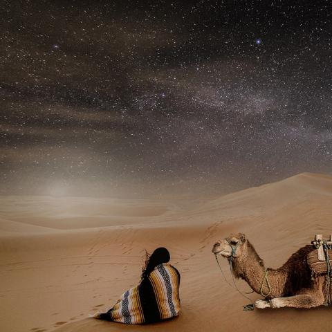 Désert avec un ciel étoilé, une femme et chameau