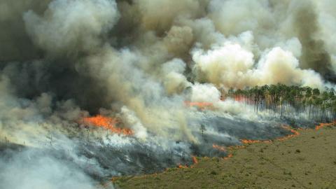 feux de forêts et fumée toxic en panache 