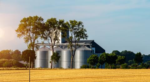Filière céréalière, silos à grain dans un champ de blé